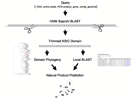 workflow_diagram